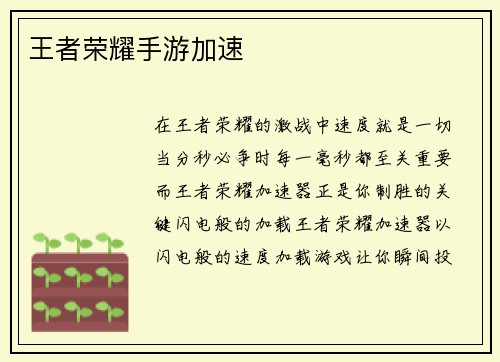 王者荣耀手游加速